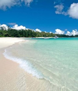 plage grand anse la digue Seychelles